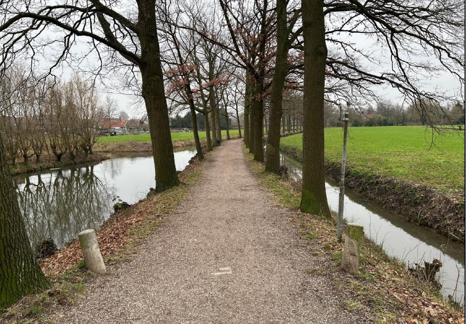 Beukenlaan te Vianen