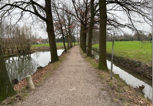 Beukenlaan te Vianen